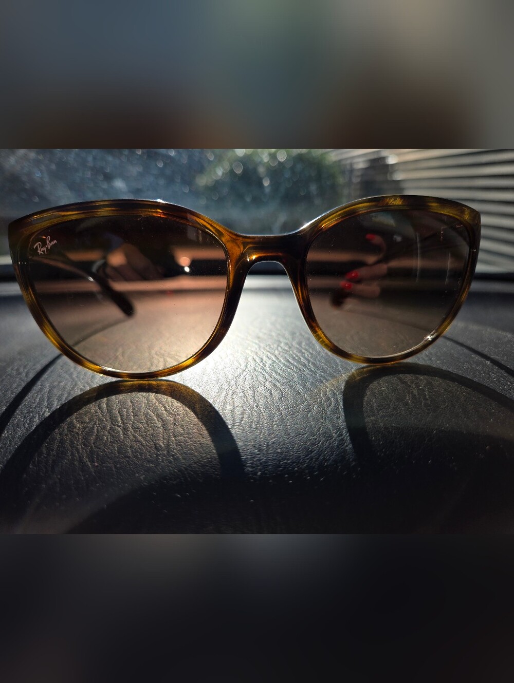 Ray-Ban Brown Tortoiseshell Sunglasses